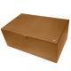 Shoe box - Castan esparciate