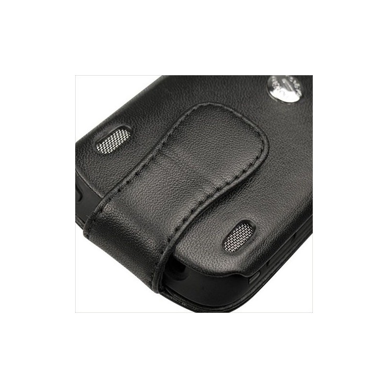 Housse cuir Palm Pixi 
